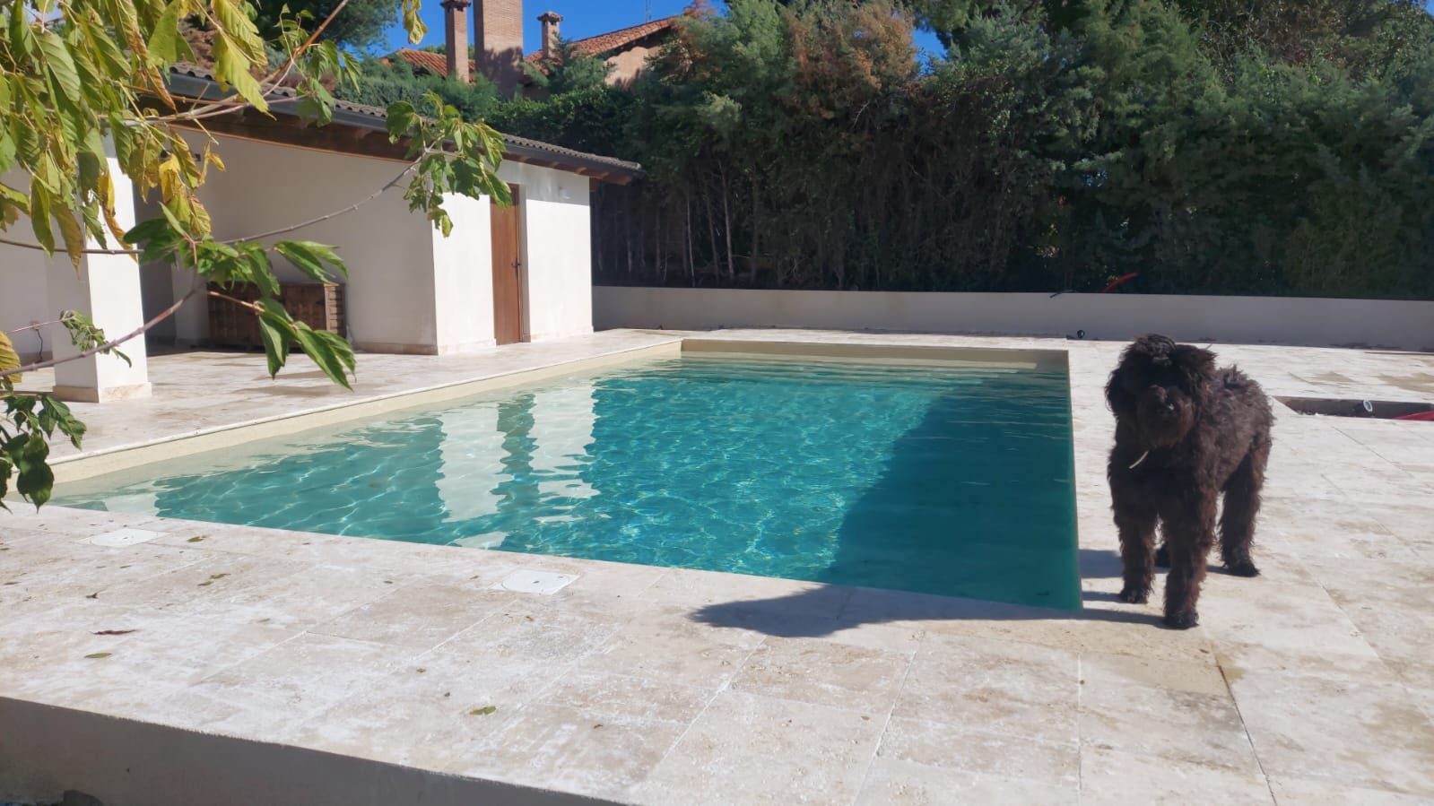 Construcción de Piscinas de Hormigón Monoblock